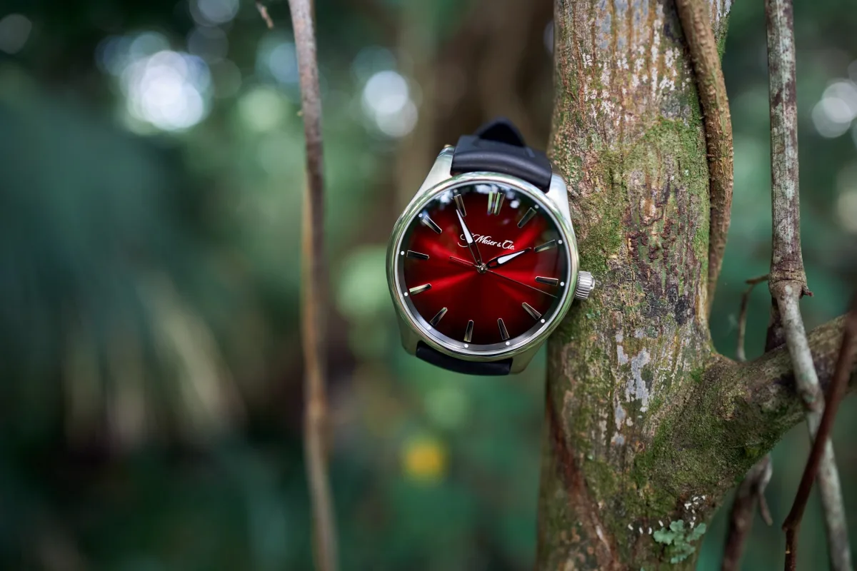 Watch image