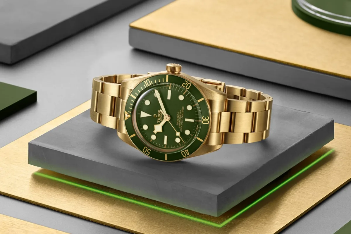 Tudor Black Bay watch model
